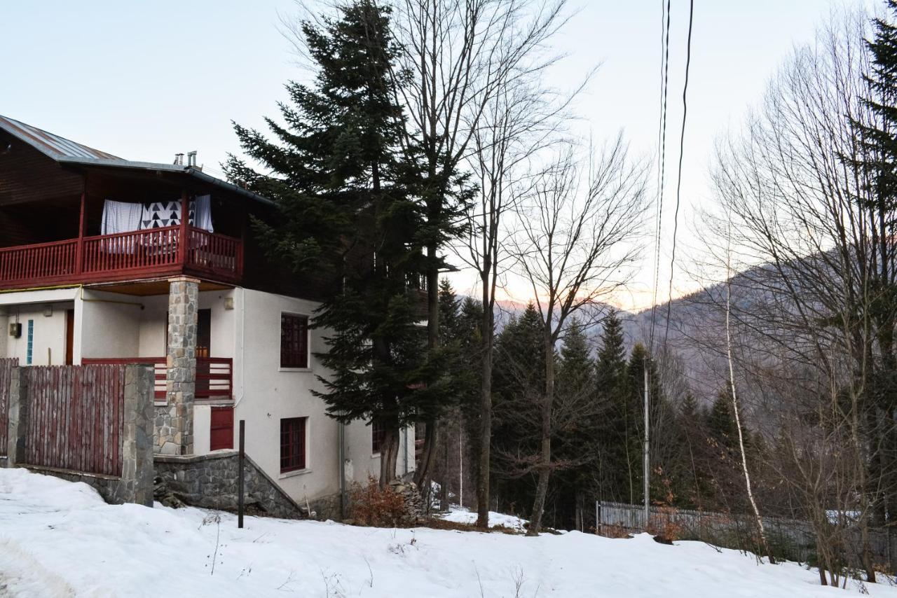 Grandpa'S Hidden Crib, 6 Bedroom, Pet Friendly 锡纳亚 外观 照片