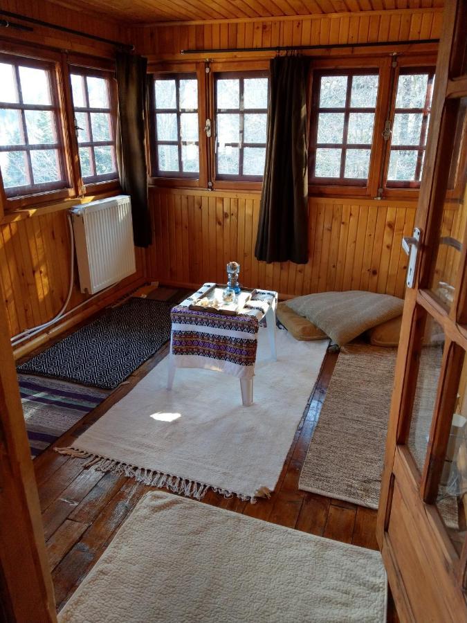 Grandpa'S Hidden Crib, 6 Bedroom, Pet Friendly 锡纳亚 外观 照片