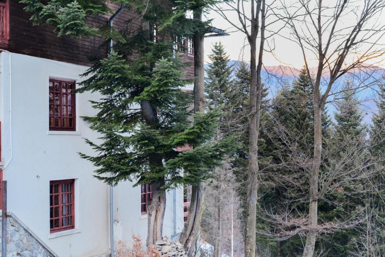 Grandpa'S Hidden Crib, 6 Bedroom, Pet Friendly 锡纳亚 外观 照片